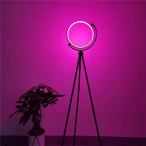 LED Arc Floor Lamp, 12W, 153 cm, 800 Lumen, Warm Light, Pedal Switch