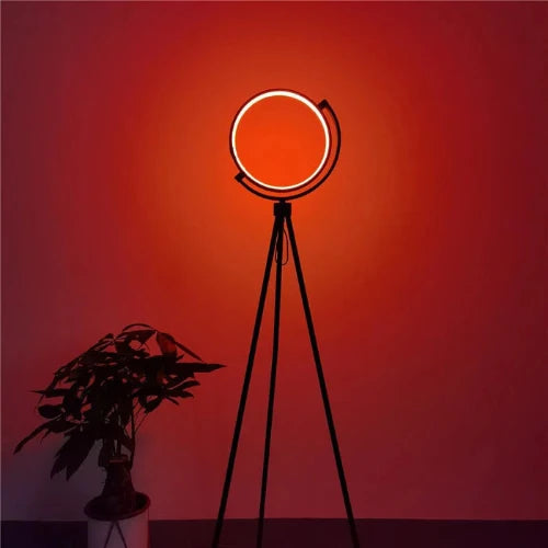 LED Arc Floor Lamp, 12W, 153 cm, 800 Lumen, Warm Light, Pedal Switch