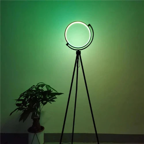 LED Arc Floor Lamp, 12W, 153 cm, 800 Lumen, Warm Light, Pedal Switch