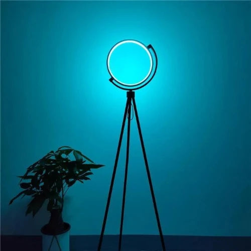 LED Arc Floor Lamp, 12W, 153 cm, 800 Lumen, Warm Light, Pedal Switch